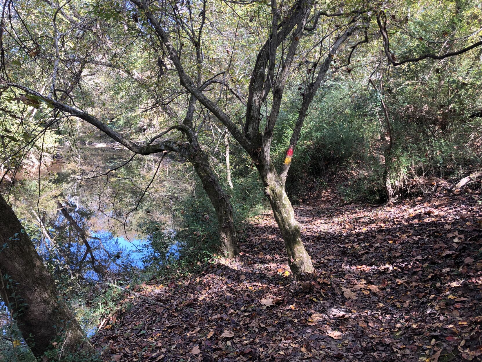 BCTrails.jpg